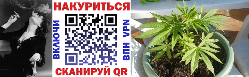 Где купить Дальнегорск ГАШИШ  Псилоцибиновые грибы  МЕФ  А ПВП  АМФЕТАМИН 