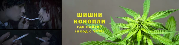 mdma Белокуриха