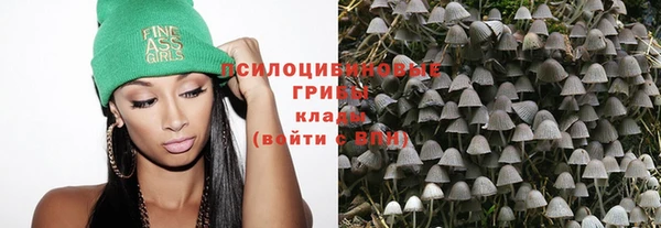 первитин Богданович