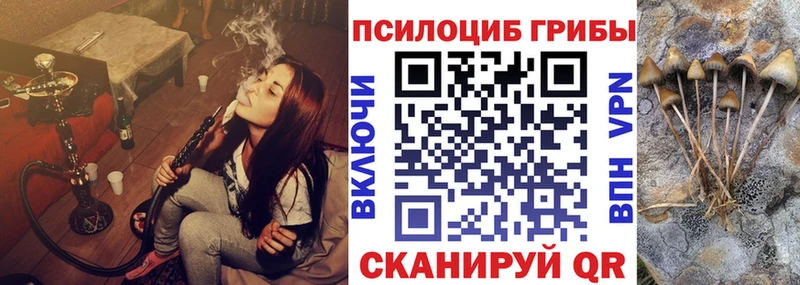Псилоцибиновые грибы Psilocybine cubensis  даркнет сайт  Дальнегорск 