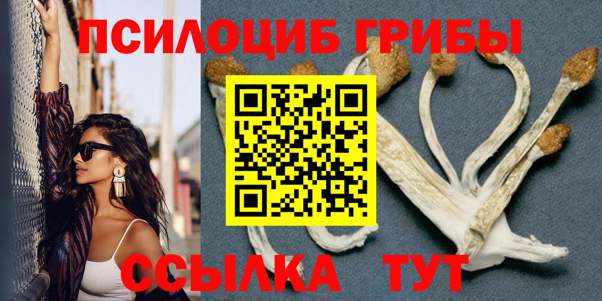 Галлюциногенные грибы мухоморы Дальнегорск